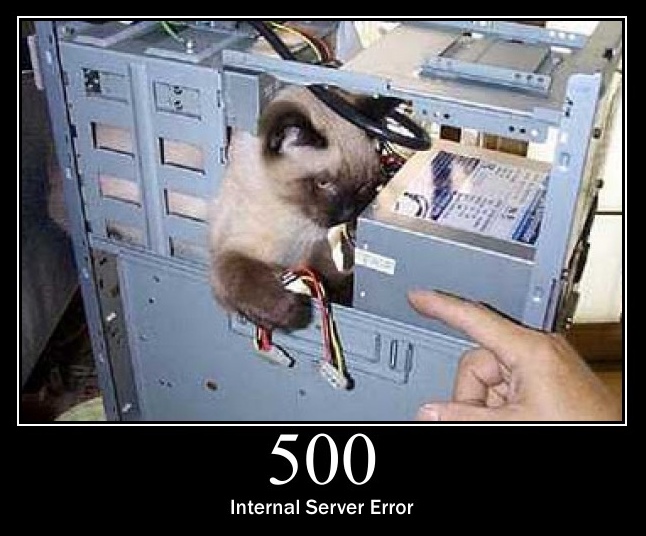 500 HTTP Status Cat